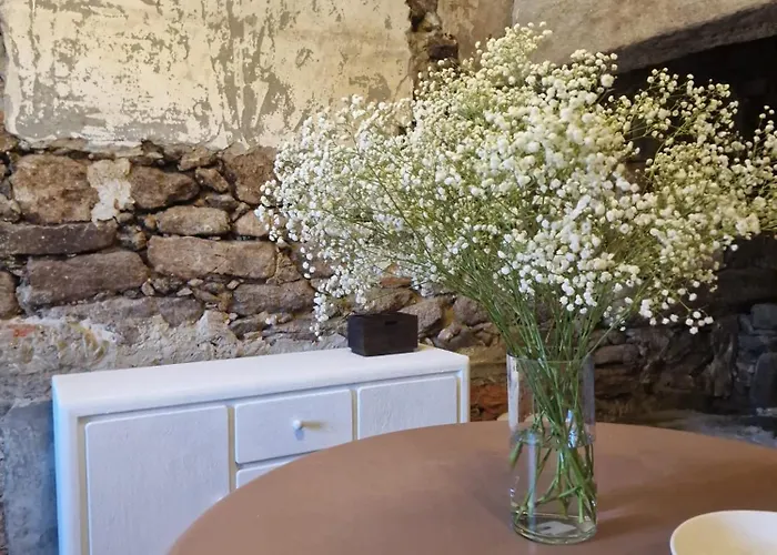 As Roeles Caion Tatil Evi Cayón